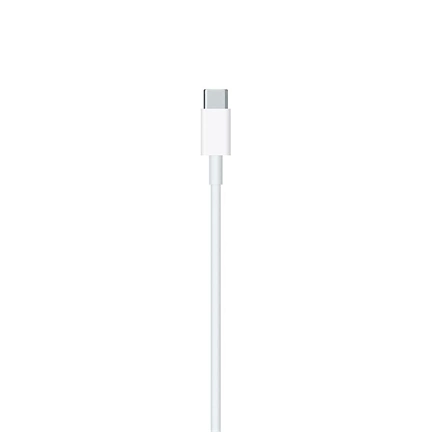 Apple x Lightning to USB-C Cable (2m) Apple White