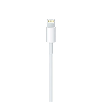 Apple x Lightning to USB-C Cable (2m) Apple White