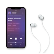 Beats Flex - All-Day Wireless Earphones - Smoke Gray