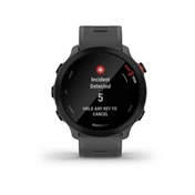 GARMIN Forerunner 55 Monterra Grey